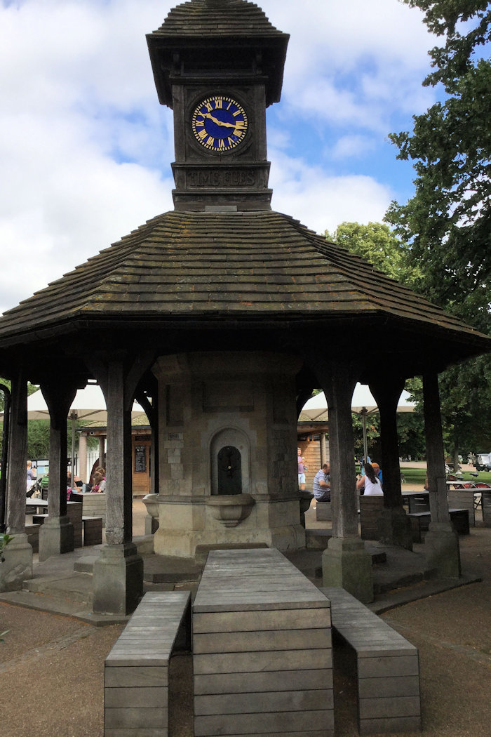 226 Time Flies photograph